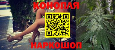 прущие грибы Абакан