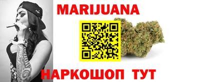 прущие грибы Абакан