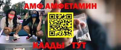 прущие грибы Абакан