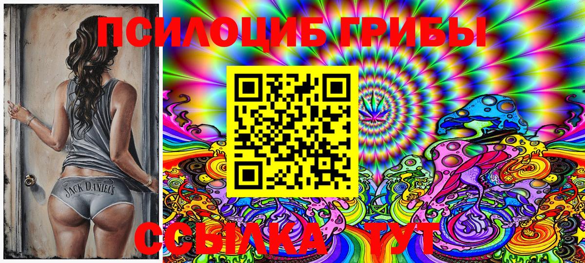 Галлюциногенные грибы Psilocybine cubensis  Вход с VPN  Галлюциногенные грибы Magic Shrooms  Азнакаево 